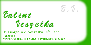 balint veszelka business card